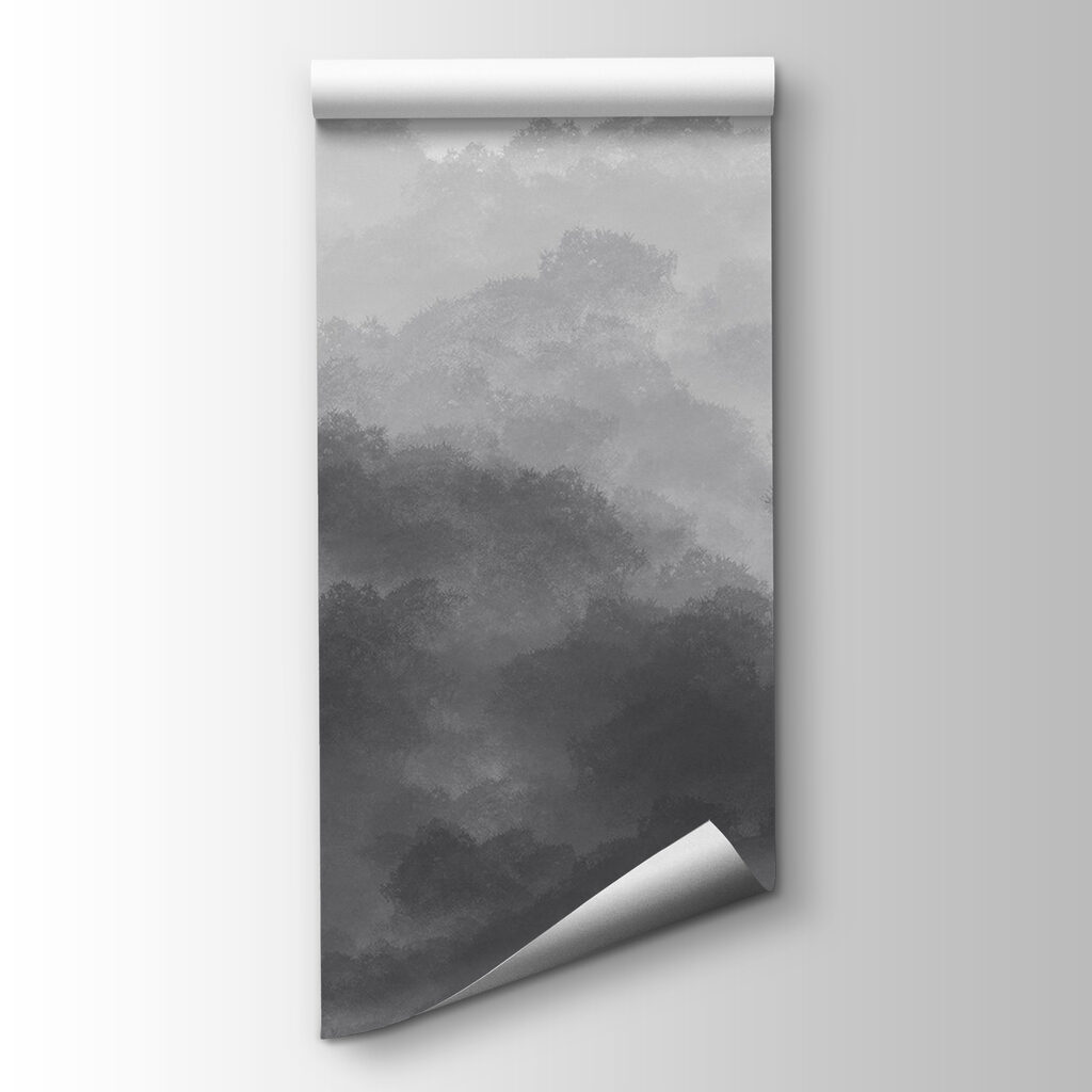 Zwart-wit afbeelding van wolken — productweergave
