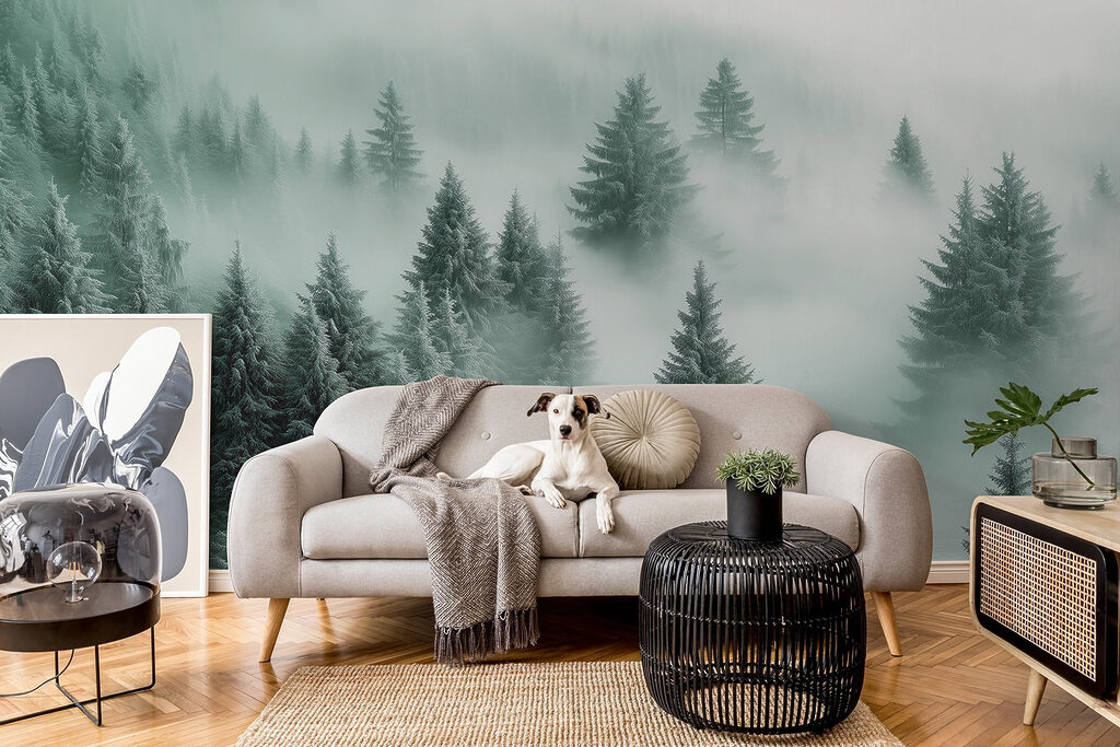 Dennen verdwijnen in wolkennevel — interieur 3