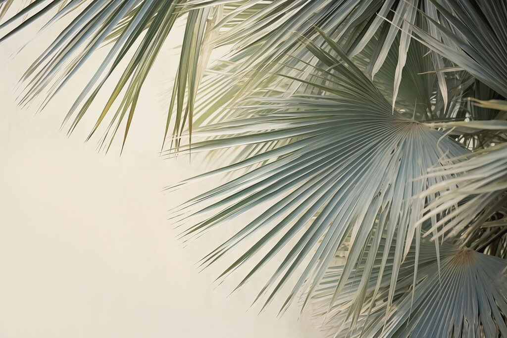 Delicate palmbladeren wiegen zachtjes — volledig ontwerp