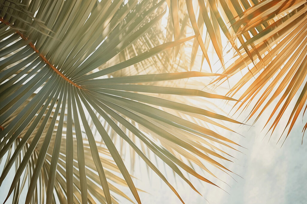 Zonlicht tussen groene palmwaaiers — volledig ontwerp