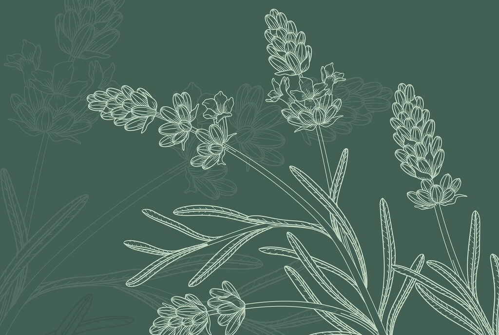 Tekening van een plant — volledig ontwerp
