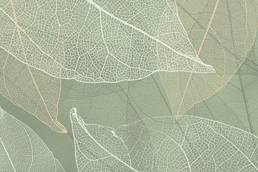 Delicate patronen van het ontwerp van de natuur’s — volledig ontwerp