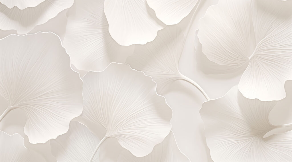 Witte waaiers van dichtbij — volledig ontwerp