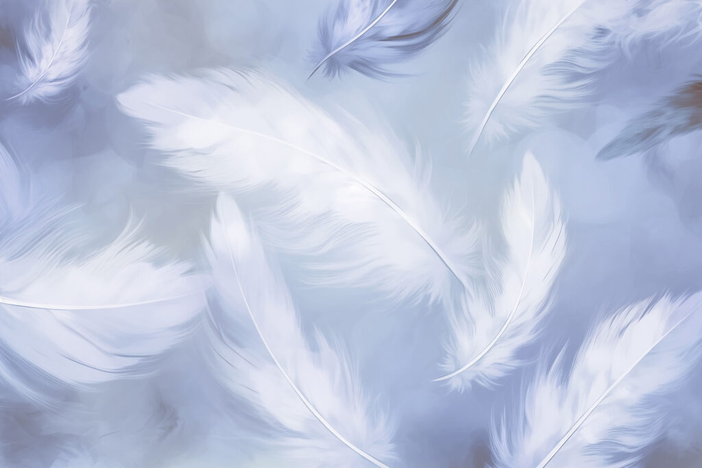Witte veren op lavendelblauw — volledig ontwerp