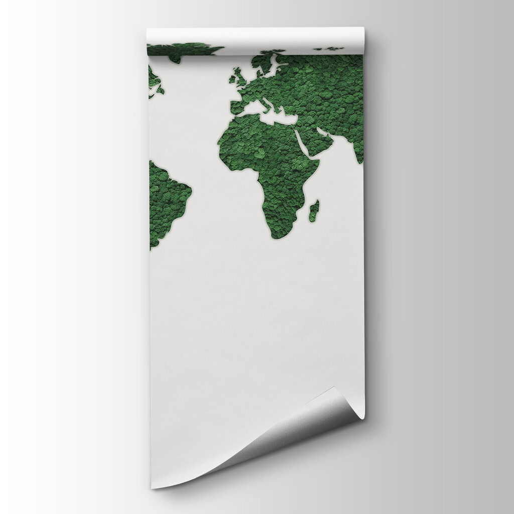 Wereldkaart met ruwe kleursporen — productweergave