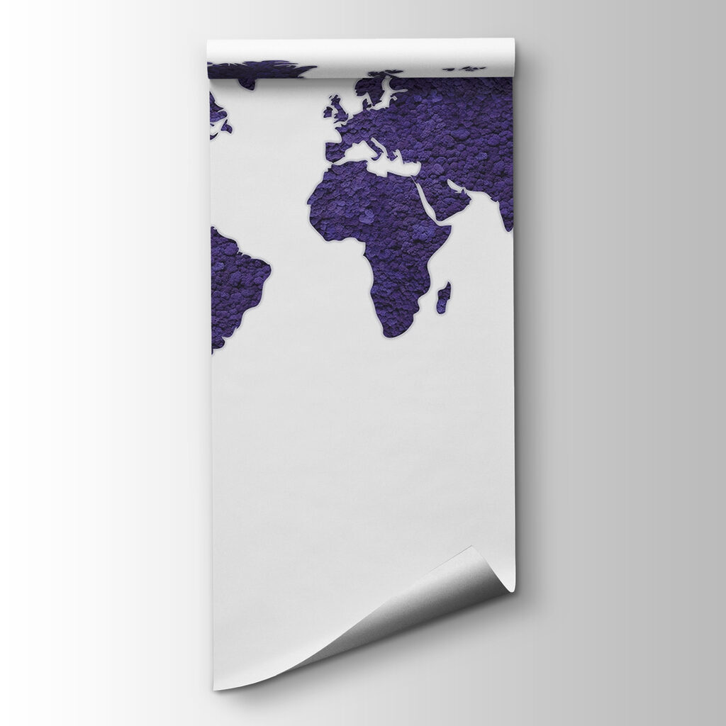 Wereldkaart met ruwe kleursporen — productweergave