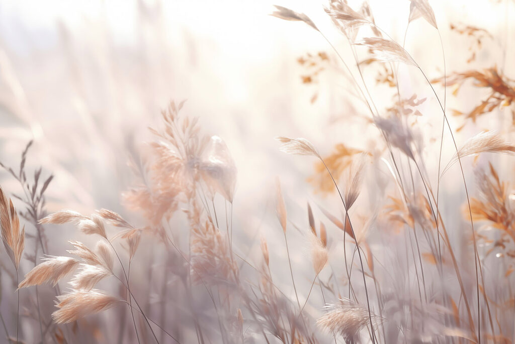 Zacht gefluister van de schoonheid van de natuur’s — volledig ontwerp