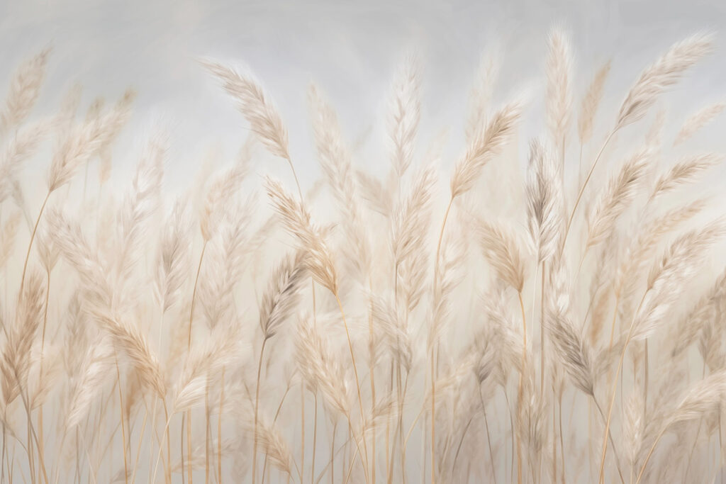 Bleke pluimen naast elkaar — volledig ontwerp