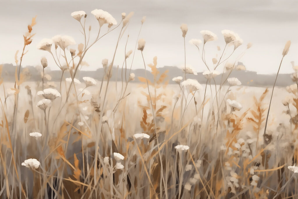 Witte veldbloemen voor heuvels — volledig ontwerp