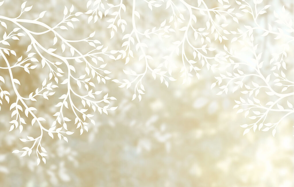 Witte blaadjes in licht — volledig ontwerp