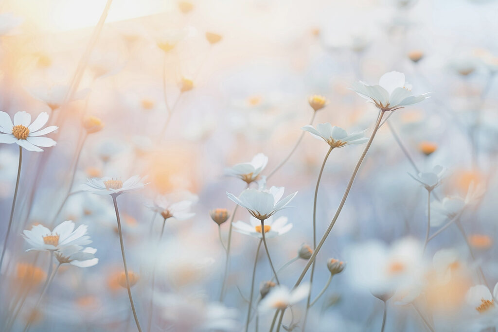 Witte bloemetjes in pastellucht — volledig ontwerp