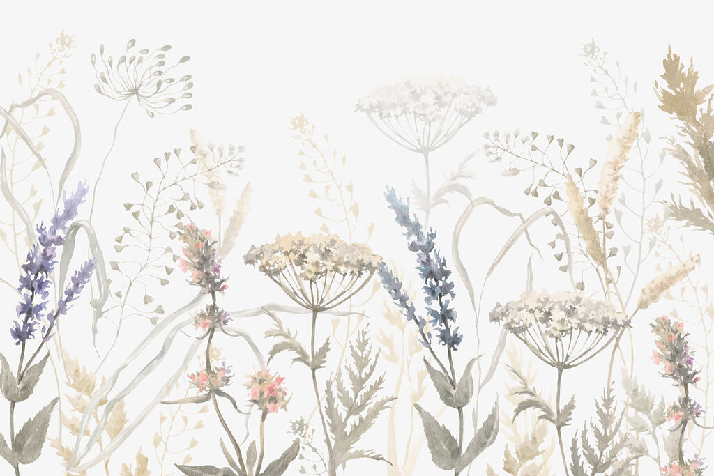 Veldplanten met fijne bloemschermen — volledig ontwerp