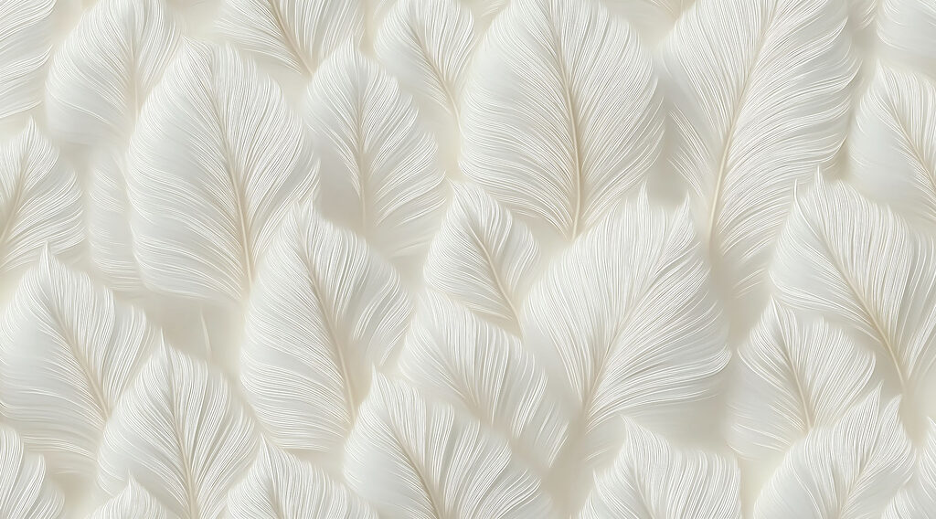 Witte veren in ochtendlicht — volledig ontwerp