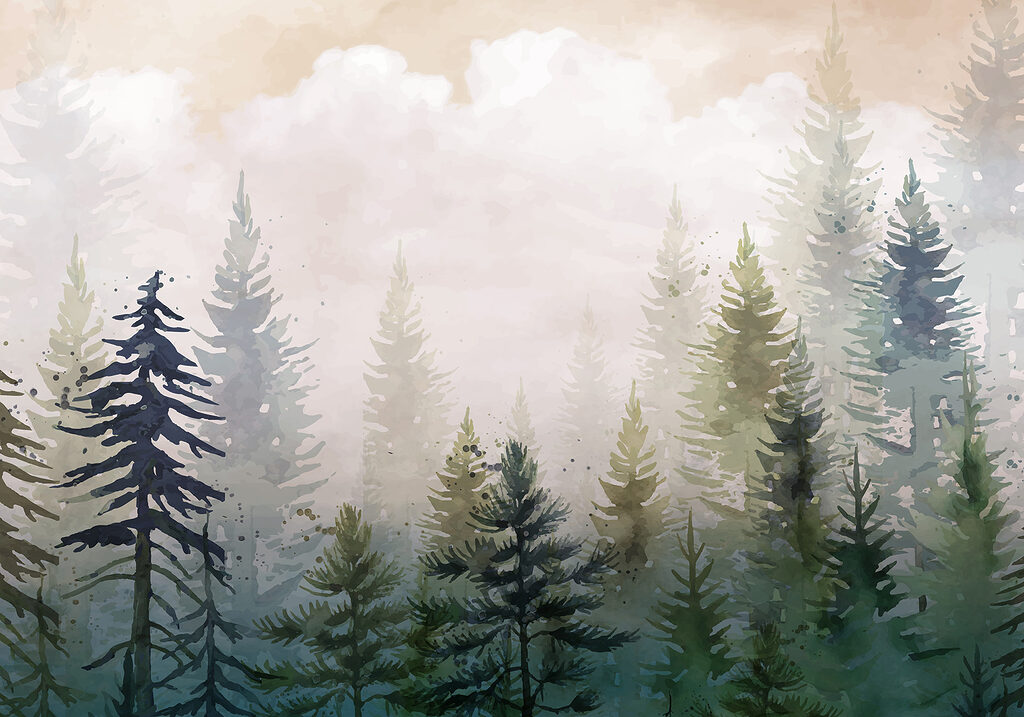Dennen onder zachte ochtendwolken — volledig ontwerp