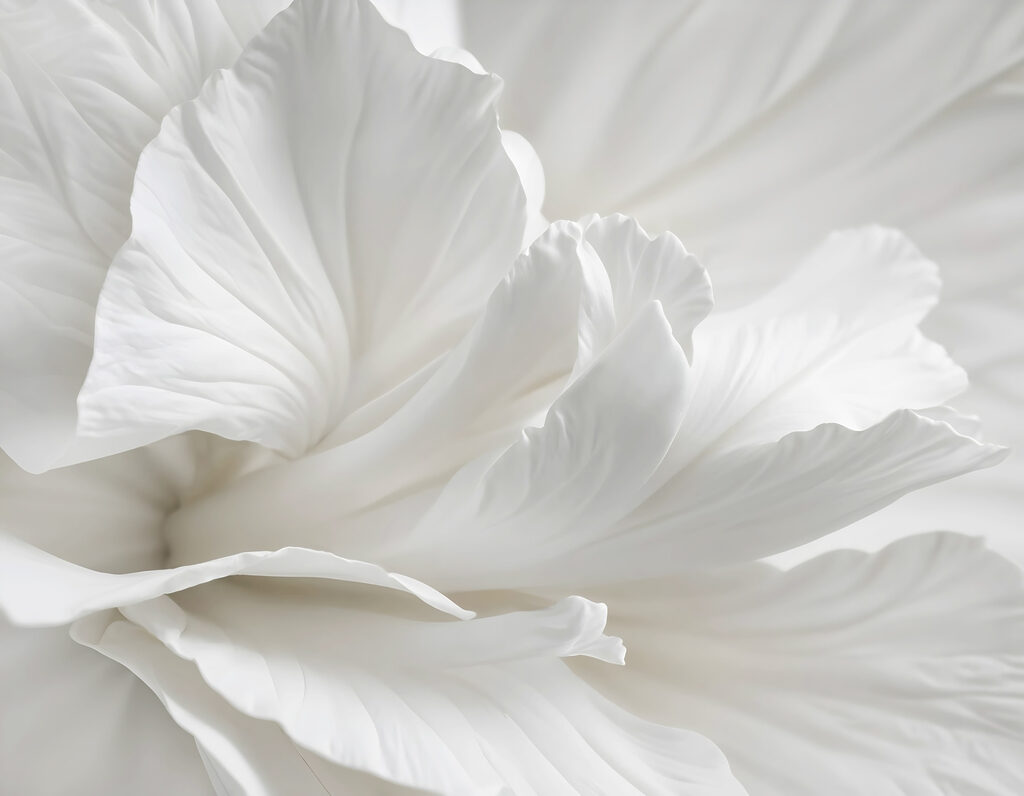 Witte bloemranden van dichtbij — volledig ontwerp