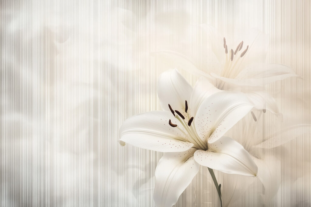 Elegante witte lelies in zachte tinten — volledig ontwerp