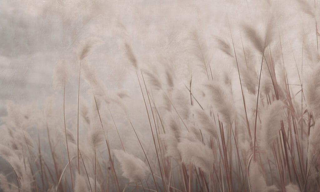 Graspluimen in zacht taupe — volledig ontwerp