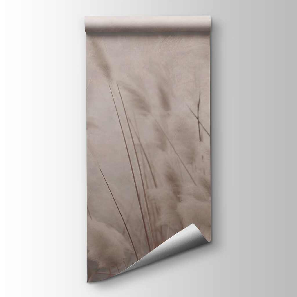 Graspluimen in zacht taupe — productweergave