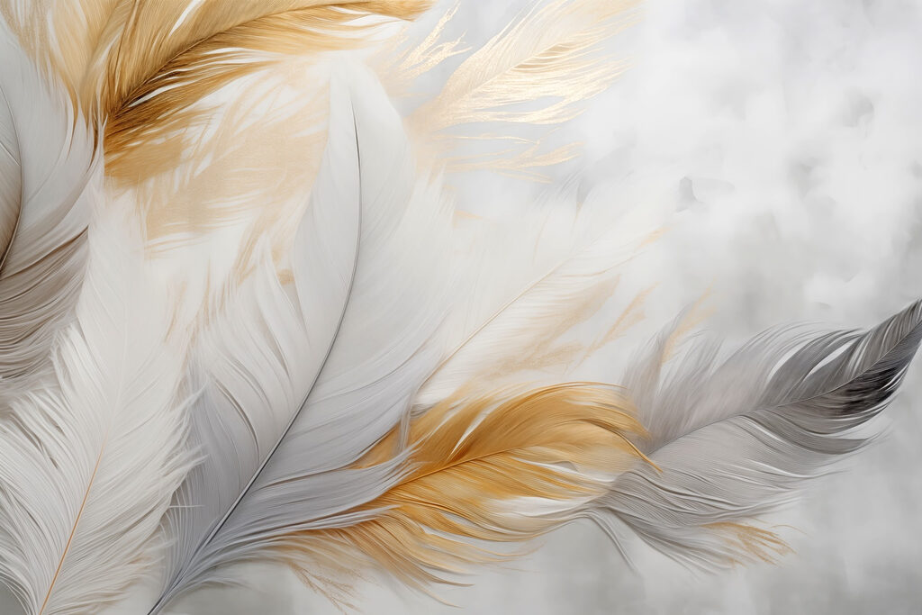 Witte veren naast gouden — volledig ontwerp